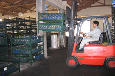 泰勒姆斯倉庫 泰勒姆斯倉庫